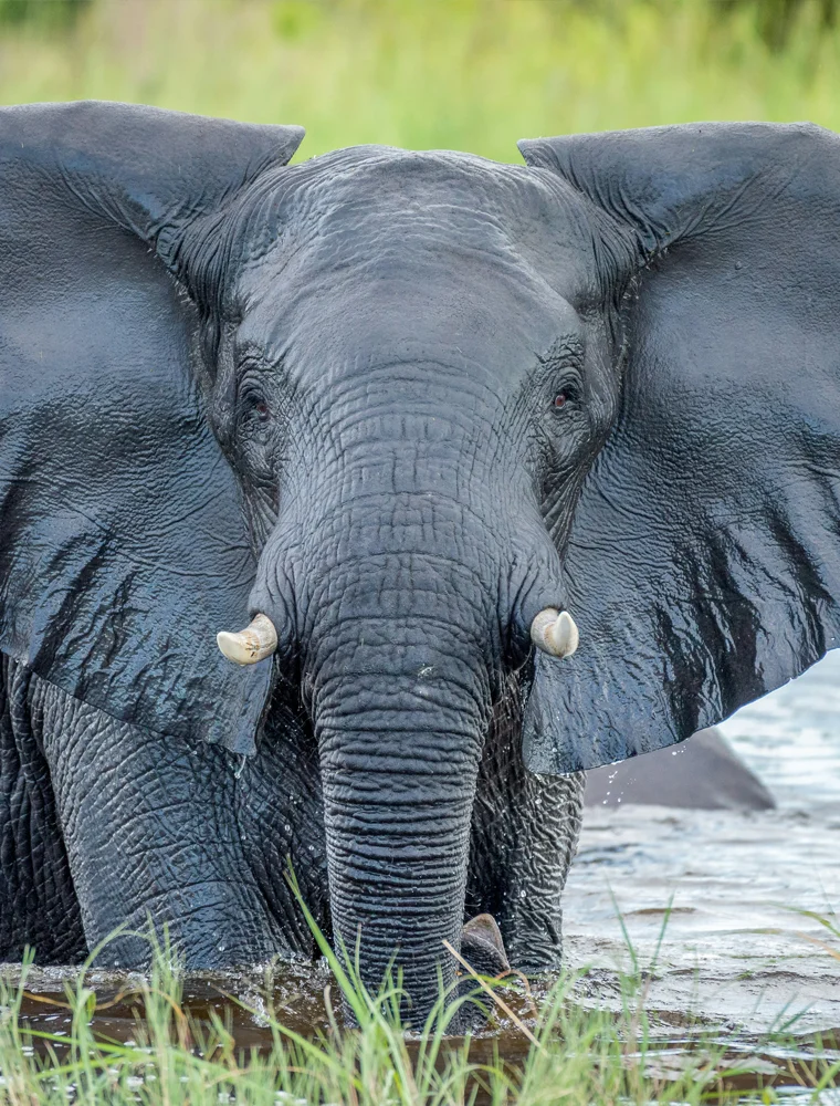 Film Production in Botswana